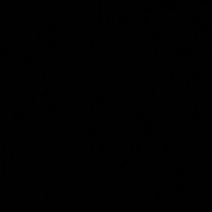 Meet your Posher, Damian